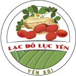 LẠC ĐỎ LỤC YÊN